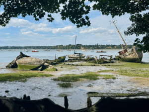 View of the Orwell from walk to Pin Mill